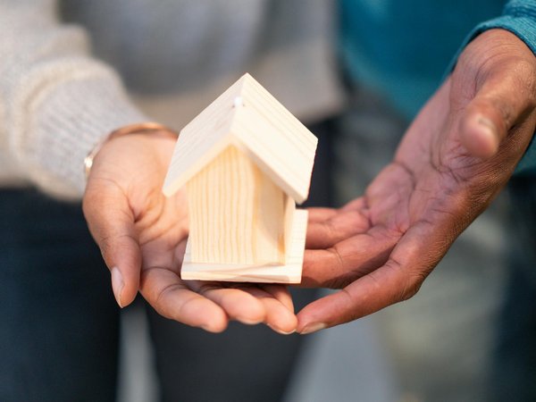 Guirlande kingtop : Comparatif des meilleurs de l'année