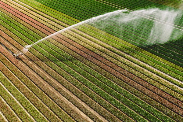 Comment élaborer un système d'eau grise pour l'irrigation d'un jardin potager urbain ?
